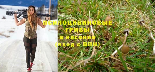 мяу мяу кристалл Алексин