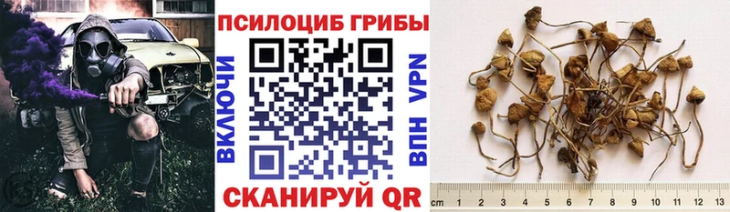 Галлюциногенные грибы ЛСД  мега рабочий сайт  Ахтубинск 
