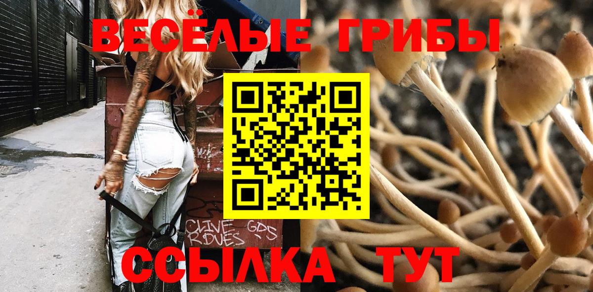 Галлюциногенные грибы GOLDEN TEACHER Ахтубинск