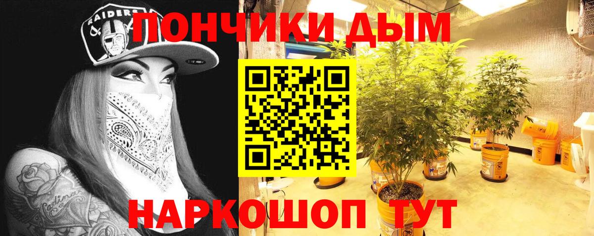 Марихуана план  Бошки марихуана VHQ  Марихуана семена  Ахтубинск 